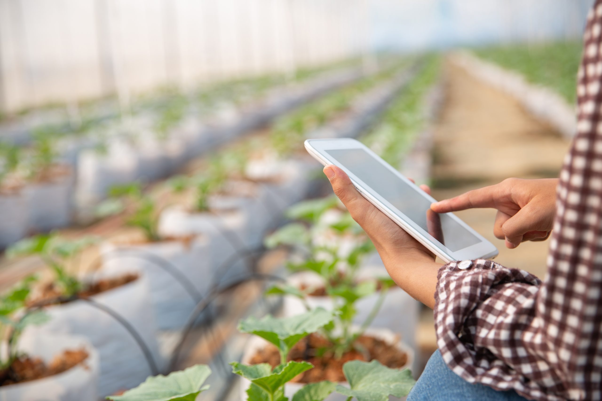 Top 5 Must-Haves Every Farmer Should Look for in Agritech Apps in 2026
