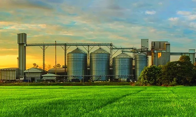 What is Post-Harvest Management, and Why is it Important in Agriculture?