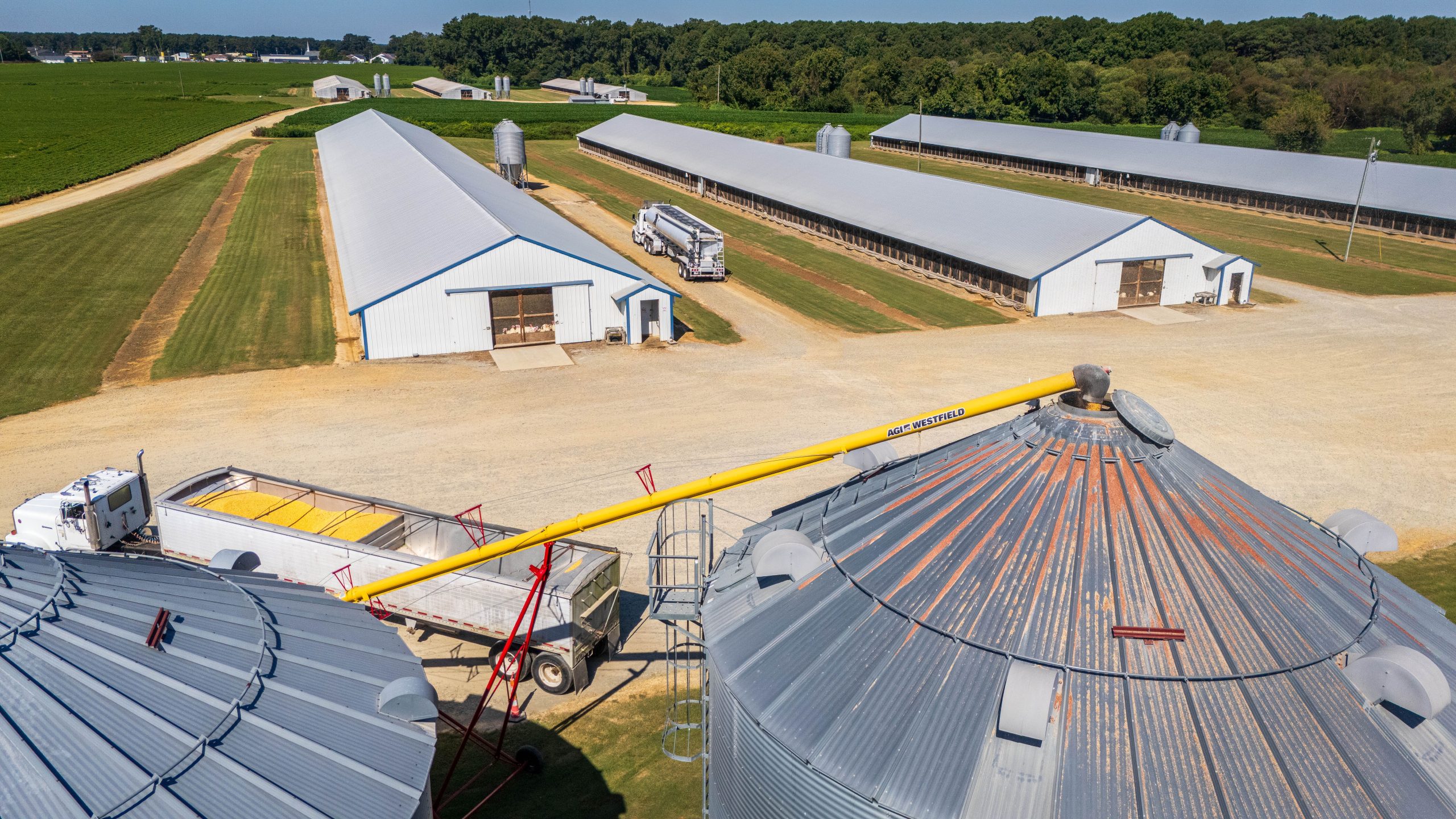 Everything you need to know about Warehouse Receipt Financing
