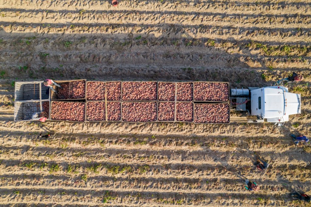agri procurement