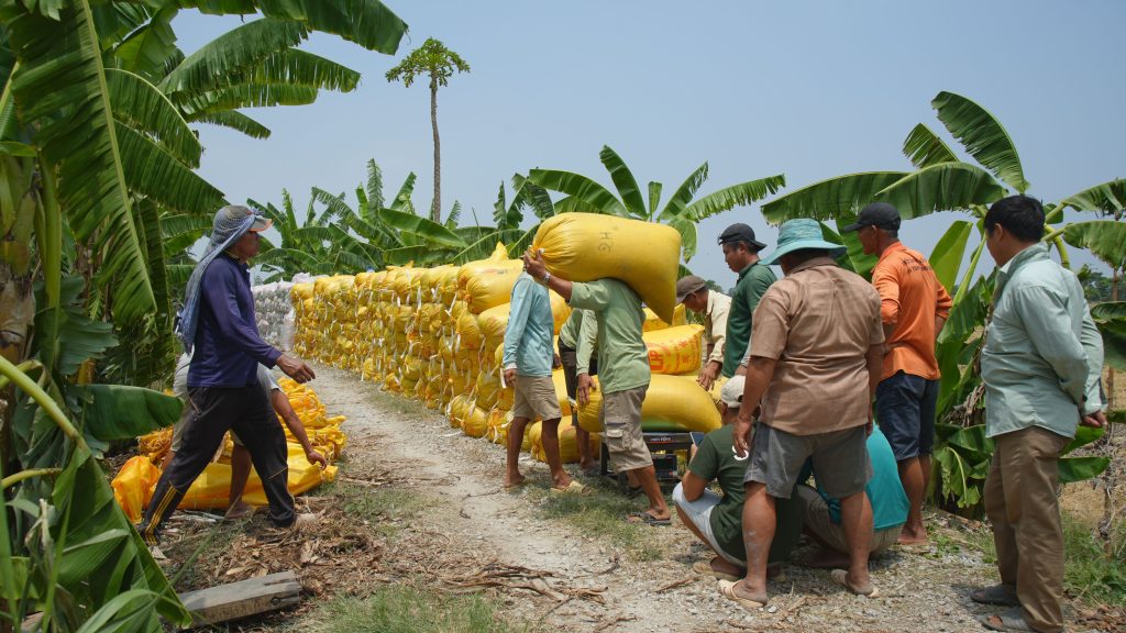 Sustainable supply chain management